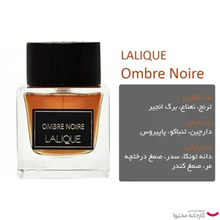 ادو پرفیوم مردانه لالیک مدل Ombre Noire حجم 100 میلی لیتر 101825495