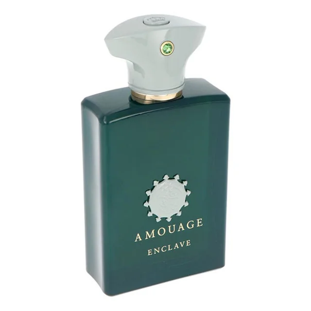 ادوپرفیوم آمواژ مدل Enclave با رایحه گرم حجم 100 میلی‌لیتر 101733726