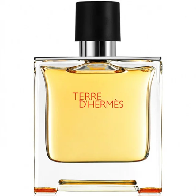 پرفیوم مردانه هرمس مدل Terre dHermes حجم 75 میلی لیتر 101825972