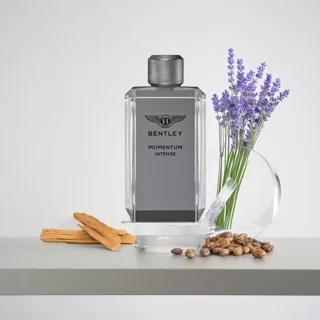 ادو تویلت مردانه بنتلی مدل Momentum Intense حجم 100 میلی لیتر 101825769