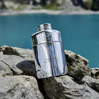 ادو پرفیوم مردانه بنتلی مدل Silverlake حجم 100 میلی لیتر 101825809